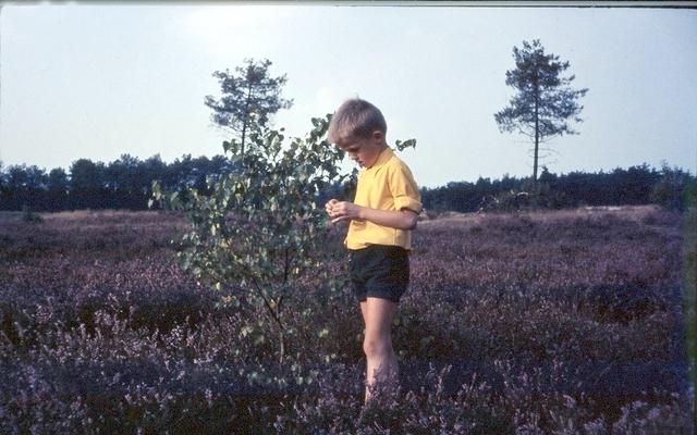 Bas Drunese Duinen