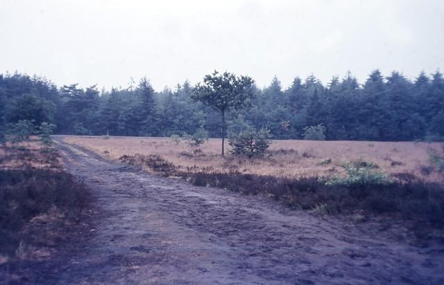 Drunese Duinen