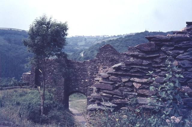 Ruine Bourscheid6