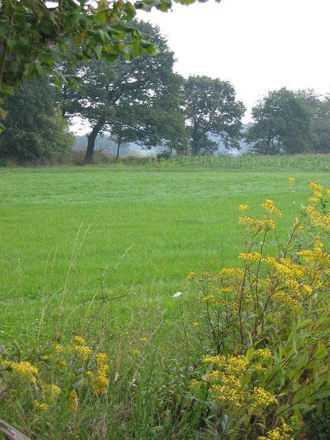 Road between Malbouté and Izier