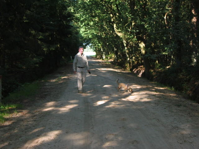 De weg voor het huisje