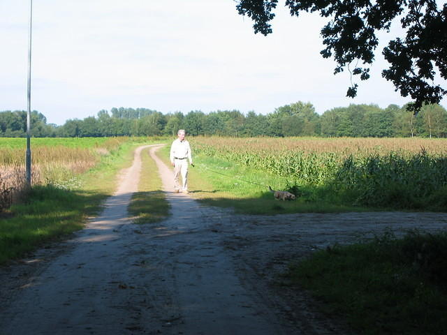 De binnenweg van Meppen naar Aalden