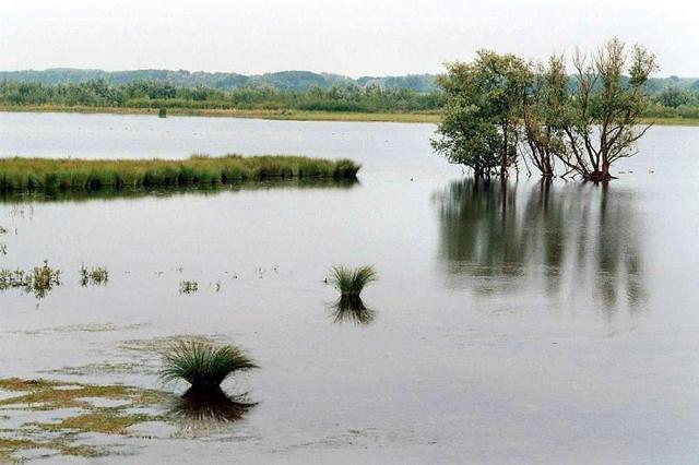 Beneden spieringse polder