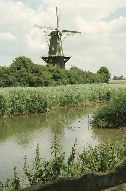 Molen bij de Dalempoort