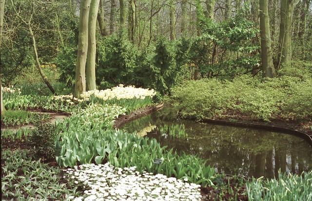 Keukenhof3.jpg