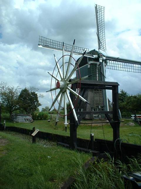 Mole bij Tienhoven1