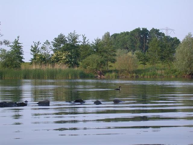 biesbosch1