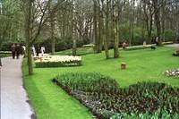 Keukenhof1.jpg